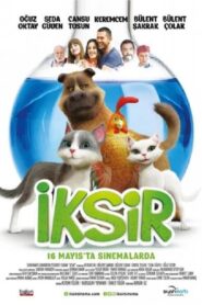Elixir 2014 on netflix