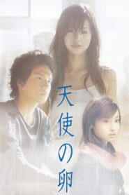 Angel’s Egg 2006 on netflix