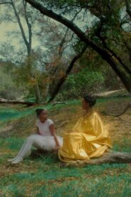 Beyoncé – Their Fall Our All 2014 on netflix