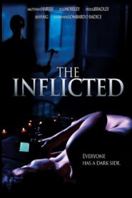 The Inflicted 2012 on netflix