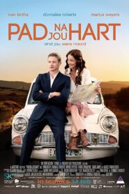 Pad Na Jou Hart 2014 on netflix