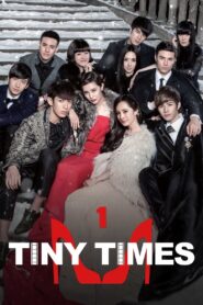 Tiny Times 2013 on netflix
