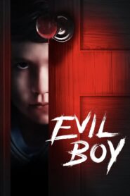 Stray 2019 on netflix