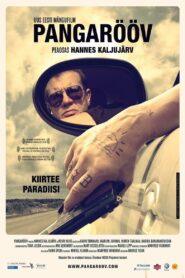 Bank Robbery 2009 on netflix