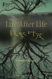 Life After Life 2017 on netflix