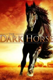 The Dark Horse 2008 on netflix