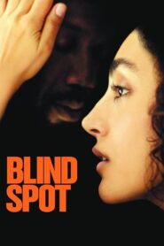 Blind Spot 2019 on netflix