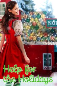 Help for the Holidays 2012 on netflix