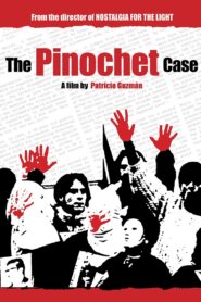 The Pinochet Case 2001 on netflix