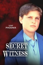 Secret Witness 1988 on netflix