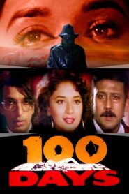 100 Days 1991 on netflix