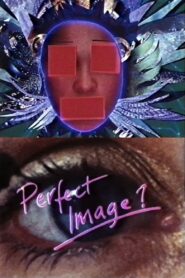 Perfect Image? 1989 on netflix