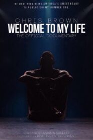 Chris Brown: Welcome to My Life 2017 on netflix