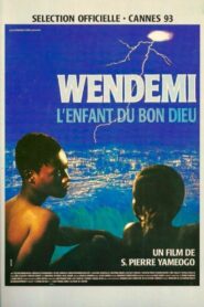Wendemi 1993 on netflix