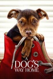 A Dog’s Way Home 2019 on netflix