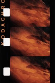 Le feu 1992 on netflix