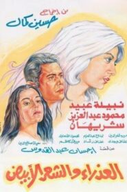 The Virgin and the Gray Hair 1983 on netflix