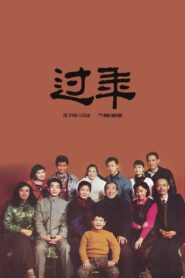 The Spring Festival 1991 on netflix