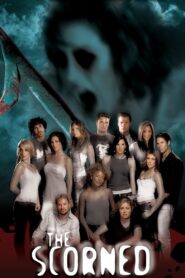 The Scorned 2005 on netflix