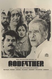 Godfather 1991 on netflix