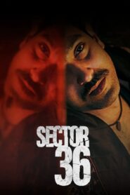 Sector 36 2024 on netflix