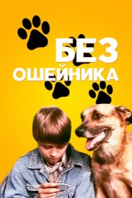 Without a Collar 1995 on netflix