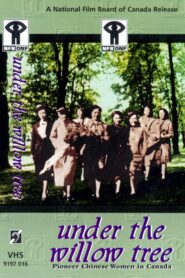 Under the Willow Tree: Pioneer Chinese Women in Canada 1997 on netflix