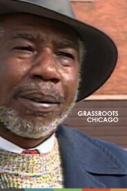 Grassroots Chicago 1991 on netflix
