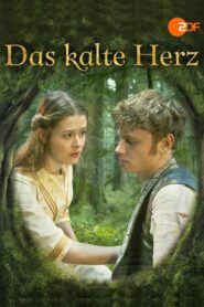 Heart of Stone 2014 on netflix