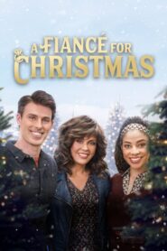 A Fiancé for Christmas 2021 on netflix