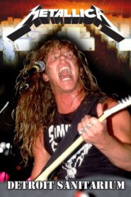Metallica: Detroit, Michigan 1986 on netflix