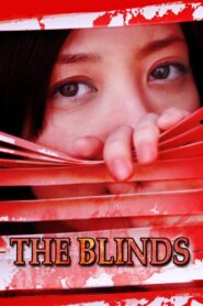 Horror Mansion: The Blinds 2011 on netflix