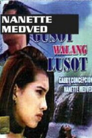Kapag May Gusot… Walang Lusot 1993 on netflix