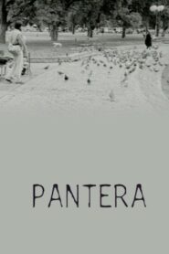 Pantera 1998 on netflix