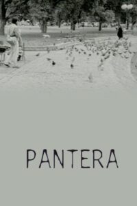 Pantera 1998 on netflix