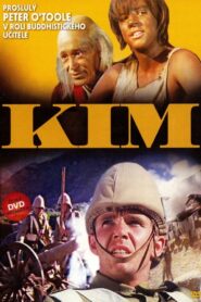Kim 1984 on netflix