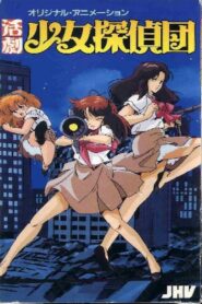Girl Detective Club 1986 on netflix