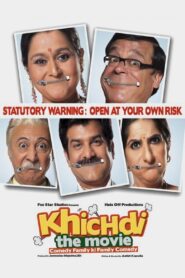 Khichdi: The Movie 2010 on netflix
