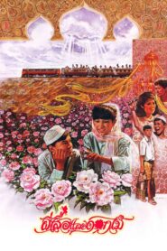 Butterfly and Flowers 1985 on netflix