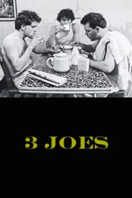 3 Joes 1991 on netflix