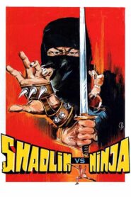 Shaolin vs. Ninja 1983 on netflix