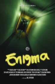 Enigma 2023 on netflix