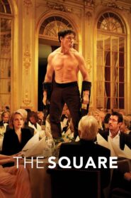 The Square 2017 on netflix