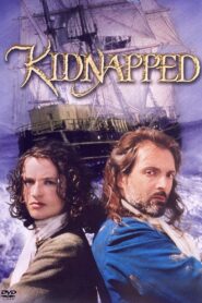 Kidnapped 1995 on netflix