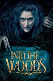 Into the Woods 2014 on netflix