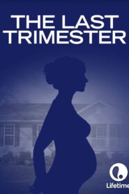 The Last Trimester 2007 on netflix