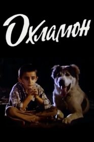 Dodgy 1993 on netflix