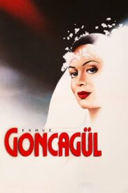 Rumuz Goncagül 1987 on netflix