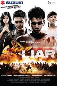Liar 2008 on netflix