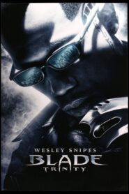 Nightstalkers, Daywalkers, and Familiars: Inside the World of ‘Blade: Trinity’ 2005 on netflix